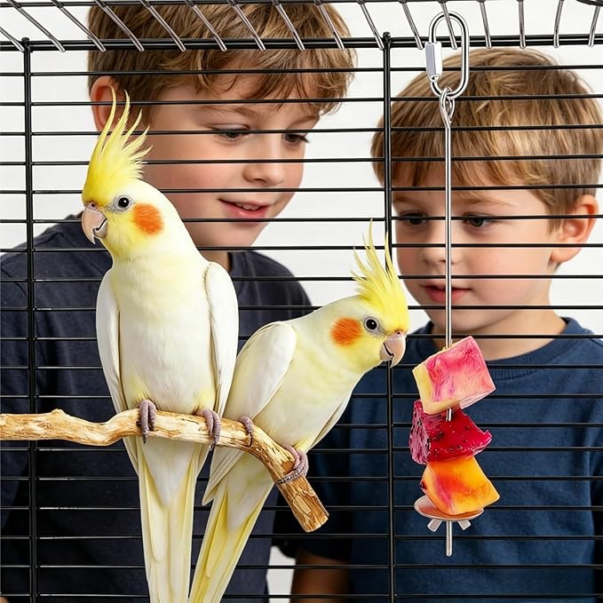 Bird Water Dispenser, Bebederos para Pajaritos, Automatic Parakeet Water Dispenser Feeder for Birds, 140 mL Water Capacity