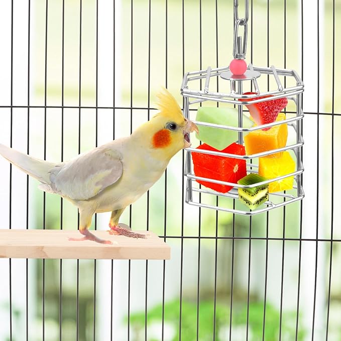 Bird Stainless Steel Foraging Feeder Parrot Hanging Feeding Box for Macaw African Grey Cockatoo Cockatiel Amazon Cage (Foraging Feeder)