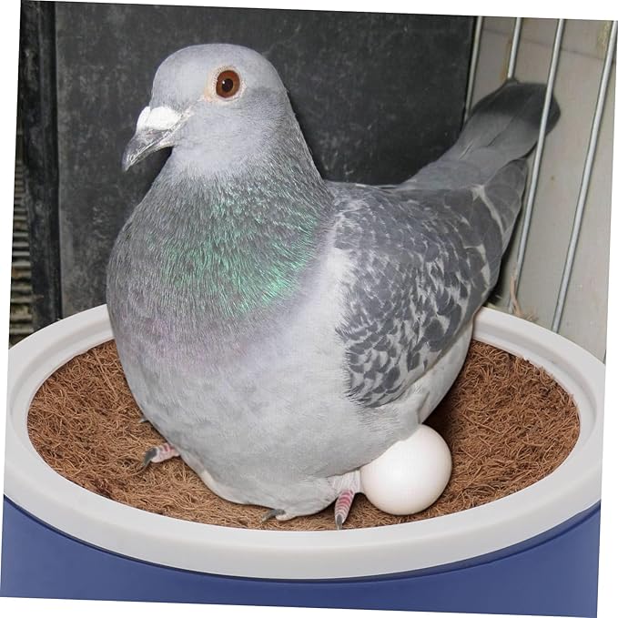 balacoo 4 Sets Pigeon nest Egg nest Straw Birds Pigeon Supplies Bird cage Accessories White Plastic Eggs Pigeon breeding Parakeet Bird cage Pigeon Nest Supply Bowl mat homing Pigeon Coir