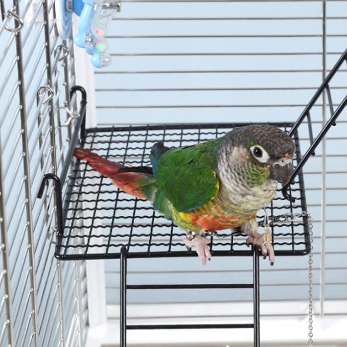 Anti-bite Metal Breathable Bird Cage Platforms with Ladders, Hanging Platforms for Bird Cage, Expand Space Inside The Cage, Suitable for Rats,Conures (Small & Large Platforms & 2 Ladders)