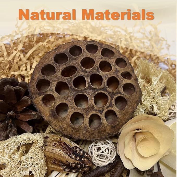 Bird Toys - Lotus Pod Foraging Box, 10 Natural Ingredients | Chewing and Shredding Parrot Toys | Ideal for Parakeets/Cockatiels/Conures/Lovebirds and Small to Medium Birds