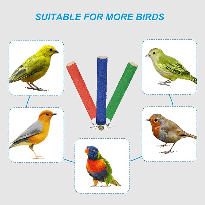 PATIKIL 0.6x7.9 Inch Bird Cage Perch, 2 Pack Parrot Stand Paw Grinding Stick Bird for Parakeet Cockatiel Cage Accessories, Blue