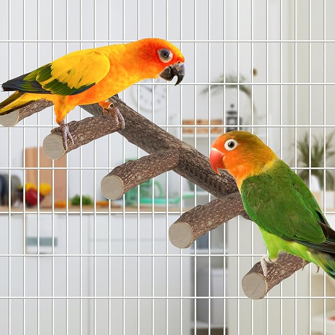 Parrot Wood Stand, Parrots Perch for Cage, Natural Bird Ladder for Small Medium Parrot, Parakeets, Cockatiels, Conures, Hamster(12.2 inch)