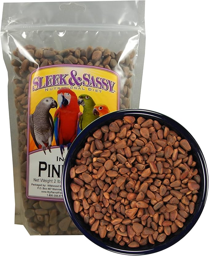 SLEEK & SASSY in-Shell Pine Nuts for Birds (32 oz.)