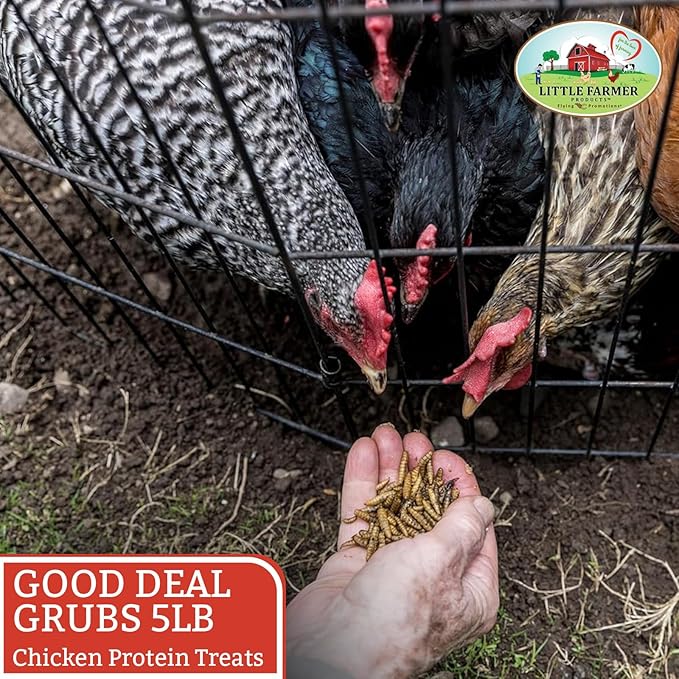 Good Deal Grubs Dried Black Soldier Fly Larvae for Chickens 5 lb, High Protein Chicken Treats with Calcium, Chicken Snacks and Supplements for Poultry and Birds