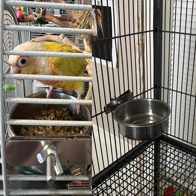 kathson Stainless Steel Bowls for Birds,4 Pcs Parrot Feeder Dish Cups,Bird Cage Water Food Bowl Coop Cup with Clamp Holder for Parrots Cockatiel Budgies Parakeet Lovebird(M)