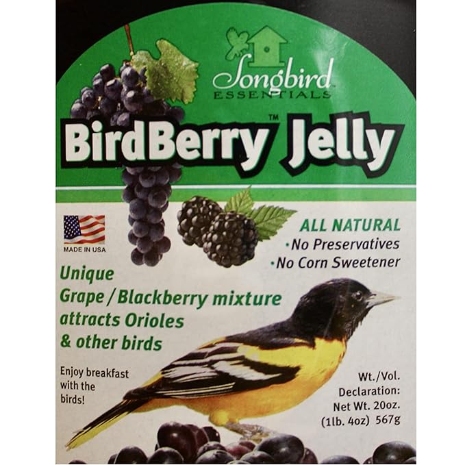 Songbird Essentials 20 Ounce BirdBerry Jelly Squeeze Bottle Bird Feeder Jelly, Grape and Blackberry Jelly Made Just for Birds [Pack of 3]
