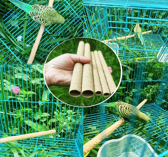 12-Pack Large Sanded Perch Covers for Parakeets,3/4" Diameter | Bird Accessories | Pet Bird Supplies | Bird Perches for Cage Parrotlets, Canaries and Other Small Birds (12pcs Large 10" L x 3/4" D)