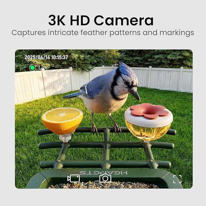 HEAPETS Bird Feeder with Camera Solar Powered, 3K HD Video, AI Bird Recognition, Auto Capture with Instant Notifications, IP65 Weatherproof, Gifts for Seniors Bird Watchers, Brown
