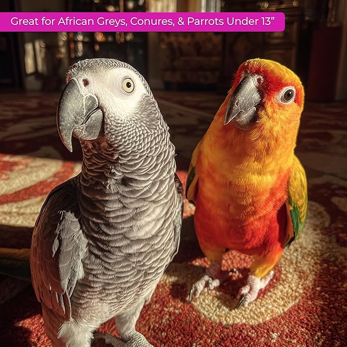 Tropical Carnival Brown’s Gourmet Small Hookbill Food & Fruit & Nut Parrot Treat Bundle – Vitamin-Fortified Daily Diet & Reward Mix for Parrots, Conures & Small Hookbills – 10 lb + 12 oz