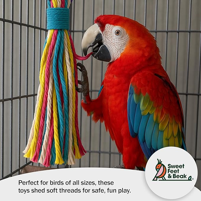 Sweet Feet & Beak Cotton 3”x11 Bird Rope Toy - Colorful Parrot Chew Toys for Shredding & Chewing - Engaging & Stimulating Bird Toys for Parrots, Small and Large Birds - Cage Accessories
