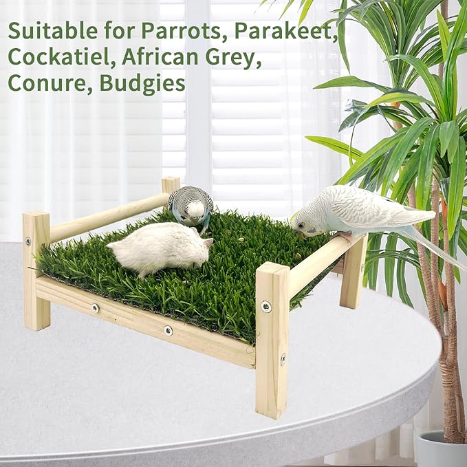 Bird Toy with Foraging Mat, Parrot Forage Toy Bed, Parrot Grass Perch Hammock Bed, Bird Perch Conure Platform Grass Forage Toy for Parakeet, Cockatiel, Lovebird, Budgie