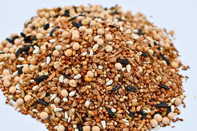 SCRATCHERCISE Premium Chicken Poultry Free-Range Scratch Treat Mix | Wheat, Milo, Peas, Sunflower, Safflower, Flax, Mealworms (5 lbs)