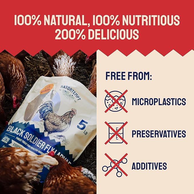 Hatortempt 10lbs Black Soldier Fly Larvae for Chickens - 114X More Calcium Than Mealworms for Chickens - High Protein Worms - Feed Treats for Laying Hens, Quails and Ducks