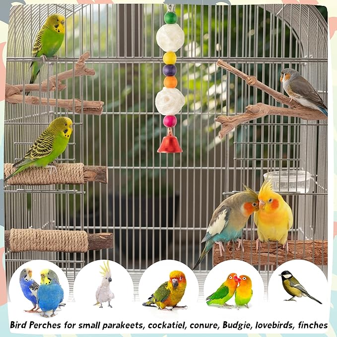 Natural Wood Bird Perches - 6PCS Wooden Parrot Stand Platform, Parakeet Climbing Standing Branches Toys, Paw Grinding Stick Fork Chewable Cage Accessories for Cockatiels Conure Lovebird Budgies