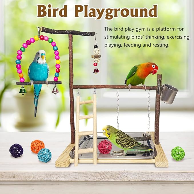 Bird Playground Parrot Playstand Parakeet Gym Playpen Cockatiel Play Stand Wood Perch Exercise Activity Center Ladders Feeder Cups Cage Accessories Swing Chew Toys for Cockatoo Budgie Lovebird Finch