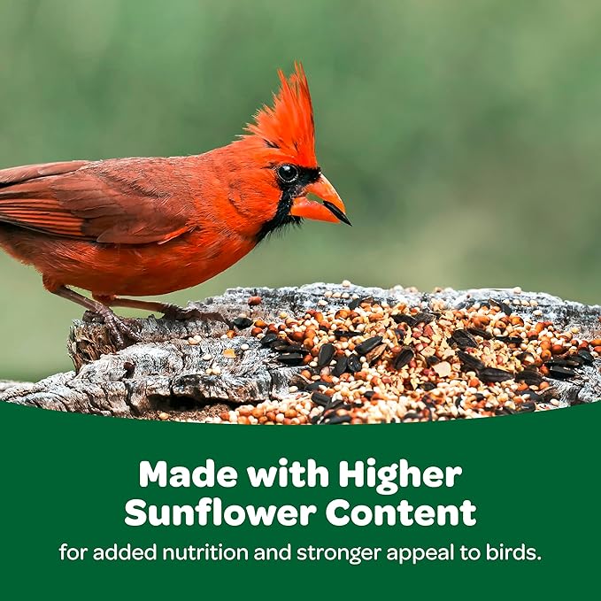 Kaytee Wild Bird Food, 40 Pound