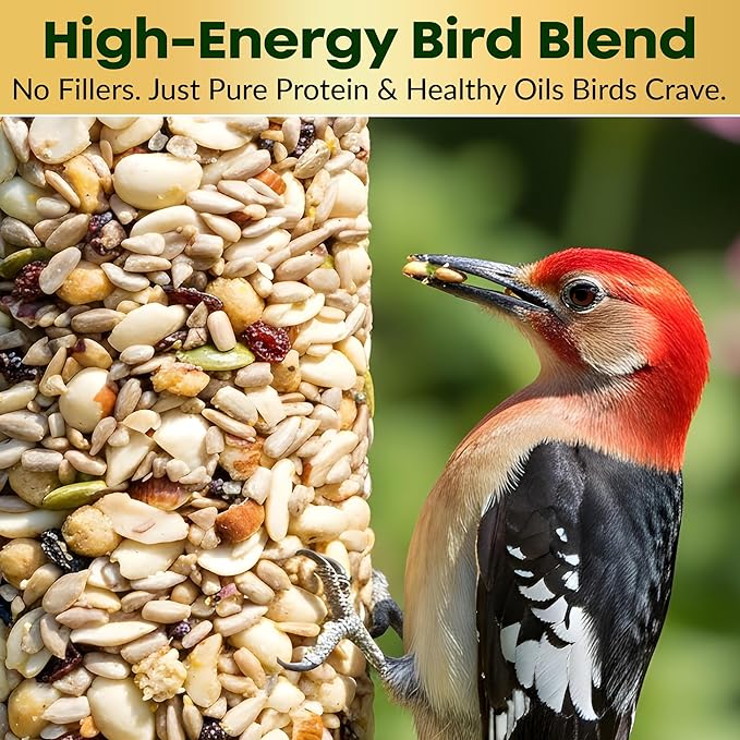 Woodpecker Bird Seed Cylinders with Hole – Premium Woodpecker Food Blend with Sunflower Chips, Peanuts & Suet – Natural High Energy Bird Seed, No Filler, No Shell, No Mess – USA Made (6" x 7.75")