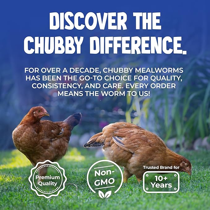 Chubby North American Grown Dried Mealworms | 20 lbs | Non-GMO High-Protein Treats for Chickens, Ducks & Wild Birds – Sustainable Chicken Feed