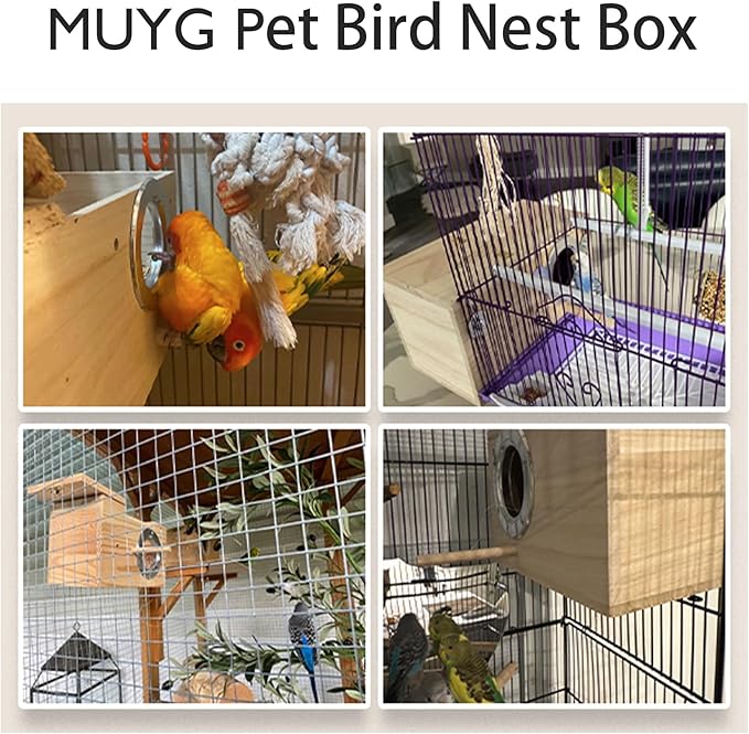 Natural Wood Bird Nesting Box,Acrylic Parakeet Nesting Box Transparent Cockatiel Nest House with Perch Wooden Parrot Nest for Lovebird Budgie Conure Canary Finch(Medium)