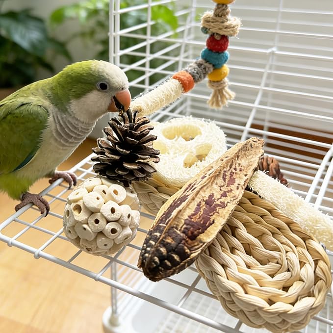 Natural Bird Toys Rattan Bird Foraging Box Parrot Shredding Toys Conure Chewing Toys for Cockatiel Lovebird Parakeet Budgie and Small to Medium Birds (Medium)