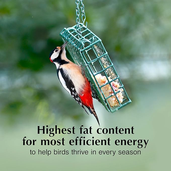 C&S Party Mix Suet Treat, Suet Cakes for Wild Birds Including Robins, Blue Jays, Woodpeckers, Wrens, Bluebirds and More, 11 Ounces, Pack of 8