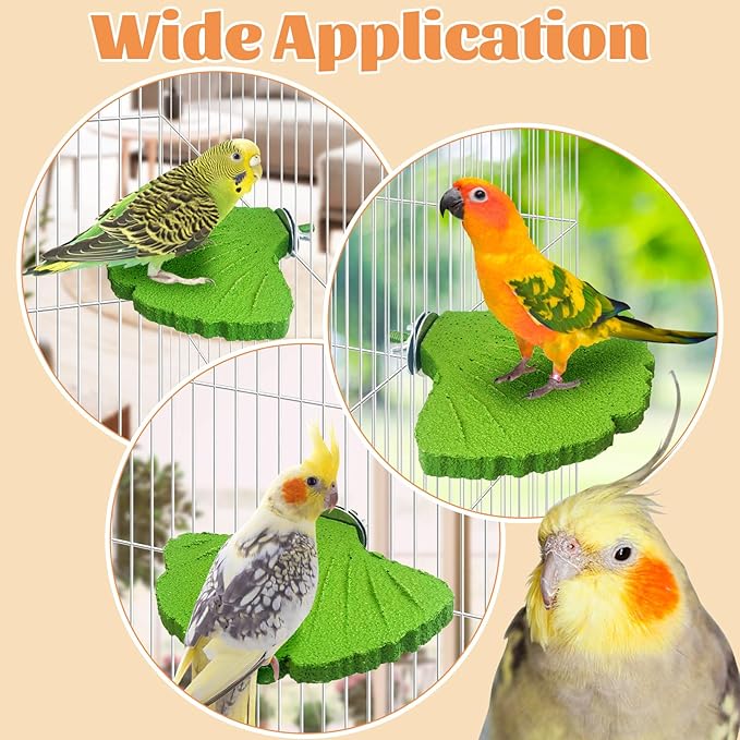 3PCS Bird Beak Grinding Stone with Suction Cups for Small Birds Foot Claws Trimmer Bird Stand Platform Parakeet Cage Perch Parrot Cage Accessories for Indoor Window Viewing (Green)