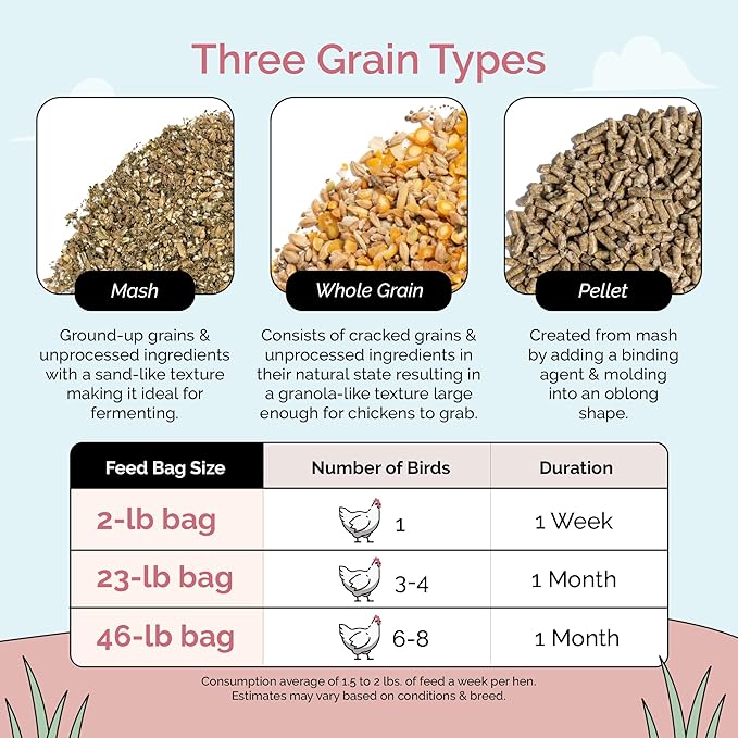 Mile Four Organic Chicken Feed (46 lbs) Layer Mash, Non-GMO, USA Grown, 16% Protein, Corn-Free, Soy-Free, Non-Medicated Feed for Chickens