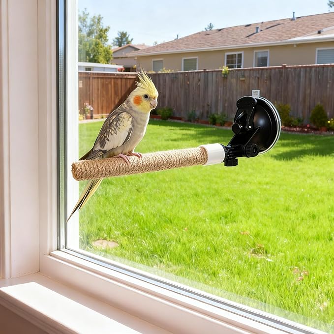 Natural Flax Bird Perch Stand with Strong Suction Cups | Movable Parrot Training Perch for Window/Mirror/Car/Tiles | Universal for Budgie, Cockatiel, Conure (Basic Parrot Perch)