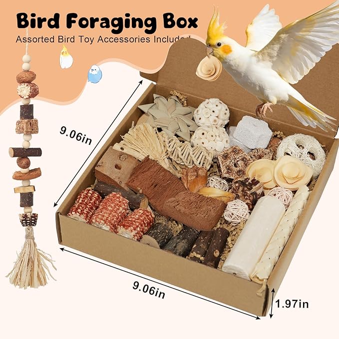 Bird Toys Parrot Natural Foraging Box Parakeet Toys DIY Hanging String for Cockatiels,Conures,Love Birds,and Other Small to Medium Birds Cage Accessories (Large)