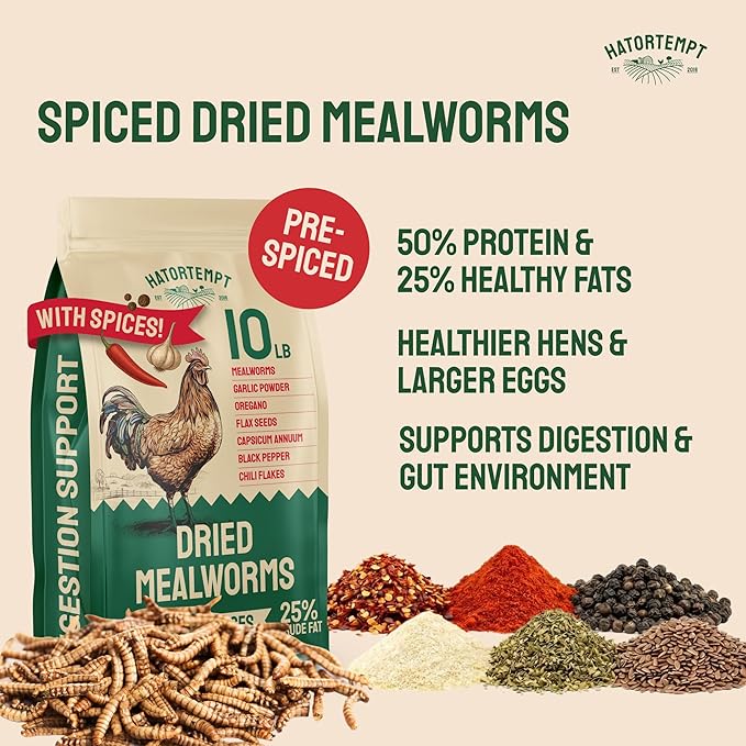 Hatortempt Spiced Bulk Dried Mealworms - 10 Lb Bag - Dried Mealworms for Chickens & Ducks - Chicken Food Coated with Chili Mix Digestion Supplement