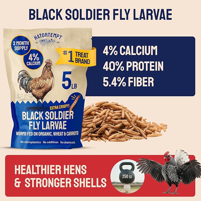 Hatortempt 5lbs Black Soldier Fly Larvae for Chickens - 114X More Calcium Than Mealworms for Chickens - High Protein Worms - Feed Treats for Laying Hens, Quails and Ducks