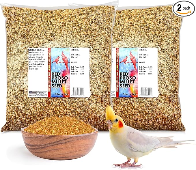 Morning Bird Red Proso Millet Bird Seeds 18 lbs (2-Pack, 9 lbs Each) – Healthy & Nutritious Pet Bird Food - Bird Seeds for Feather Growth – Perfect for Finches, Parakeets & Other All Pet Birds