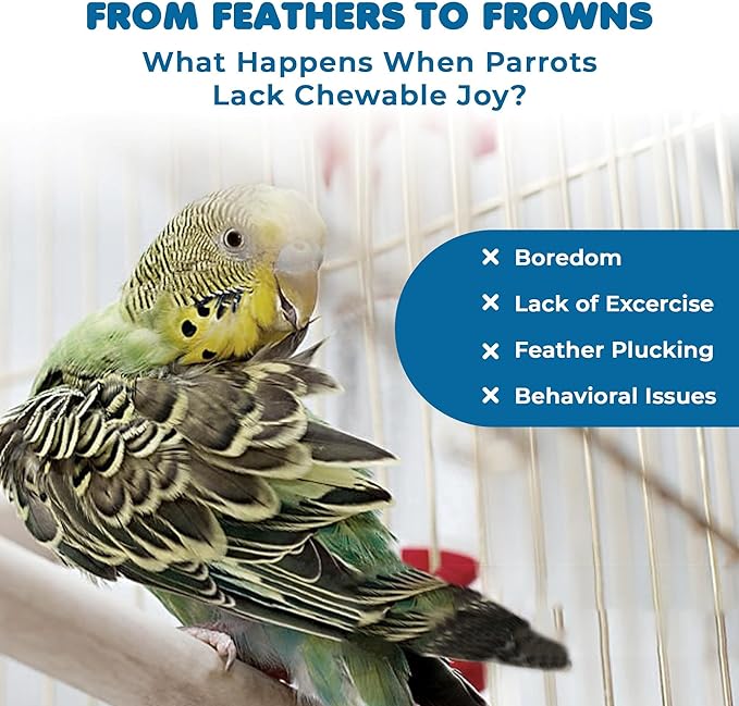 SunGrow Parrot Toy – Bird Foraging & Chew Toy with Wooden Blocks and Cotton Rope, Hanging Cage Accessory for Conures, Budgies, Parakeets & Other Small Birds