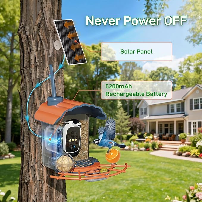 Smart Bird Feeder with Camera Solar Powered: 2K HD Video Wireless Outdoor Bird House Camera, AI Bird Species Identification & Arrival Alerts, Ideal Gift for Bird Lovers - Blue