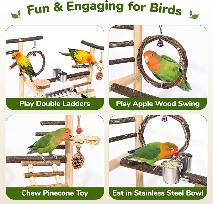Bird Playground,Parrot Stand with Feeding Cup, Swing, Chew Toys,Removable Tray,Suitable for Small to Medium Birds, Ideal Perch for Budgerigars, Parakeets,Cockatiels