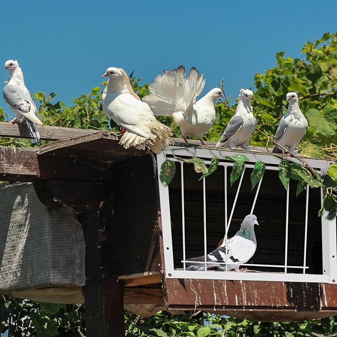 Suzile 2 Pcs 11.81" x 10.24" Pigeon Cage Door Bird Wire One Way Entrance Iron Pigeon Trap Bird House Door for Racing Supply Birdcage Breeding, White