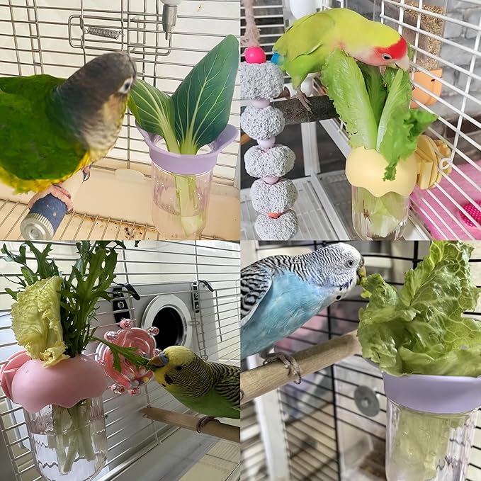 7 PCS Bird Cage Feeder for Vegetable Millet Holder Cage Accessories with Parrot Fruit Forks for Budgie Cockatiel Lovebirds Parrot