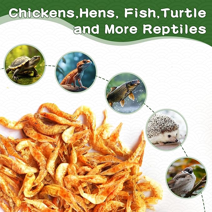 5lb Dried River Shrimp for Chicken, High Protein Freeze Red Dried Shrimp All Natural Treat for Turtles, Reptiles, Fish & Poultry, Perfect for Aquariums, Ponds, Backyard Chickens and Birds
