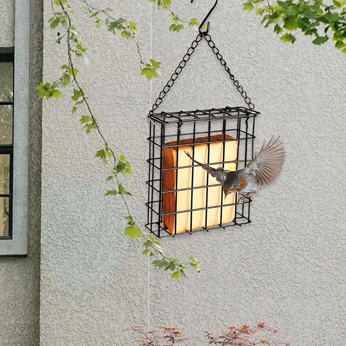 Bird Suet Cake Feeder Feeding Station Decor Pet Supplies Single Cake Basket Holder Garden Cage for Lovers Fruit Patio Outdoor