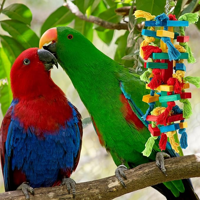 Seenelling 6 Pcs Extra Large Bird Parrot Toy Multicolored Natural Wooden Parrot Cage Chewing Toys for Large Medium Macaws Cockatoos African Grey Birds (Mixed)