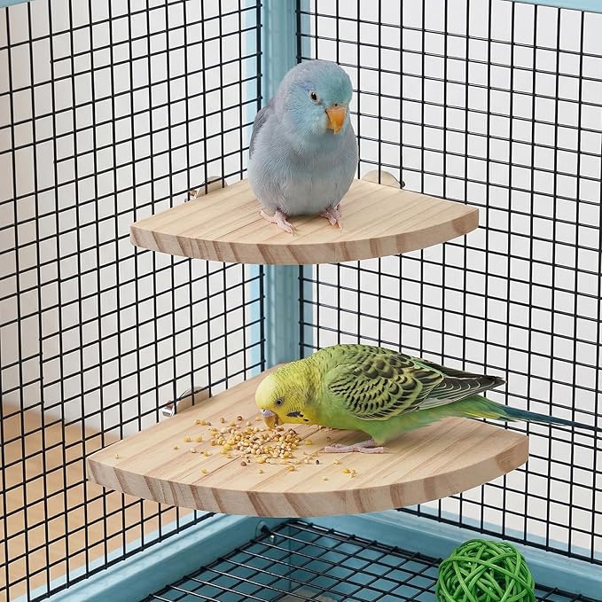 2 Pack Bird Platform Wood Flat Perches for Bird Cages Fan Shape Birds Cage Platform with Stainless Steel Washers for Birds Cages Corner Shelf Parrots Hamster Gerbil(5.1inch, 6.7inch)