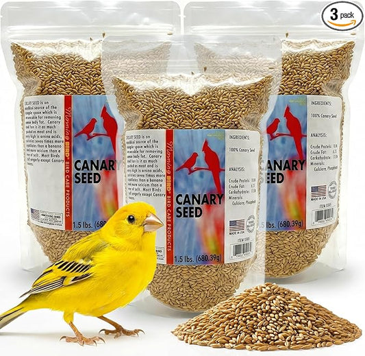Morning Bird Canary Seed 4.5 lbs (3-Pack, 1.5 lbs Each), Nutrient-Rich Bird Seed, Creamy Golden Grain Powerhouse - Supports Healthy Feathers & Strong Bones – Natural Daily Nutrition for All Bird Types