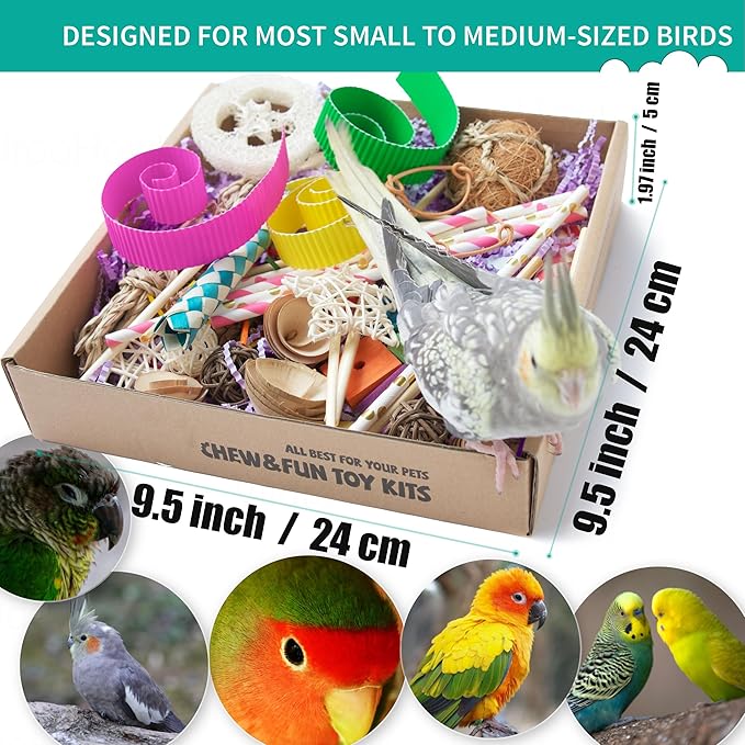Bird Toys - Natural Foraging & Shredding Box for Parrots | Colorful Chew Toy | Ideal for Cockatiels, Conures, Lovebirds & Small Medium Birds