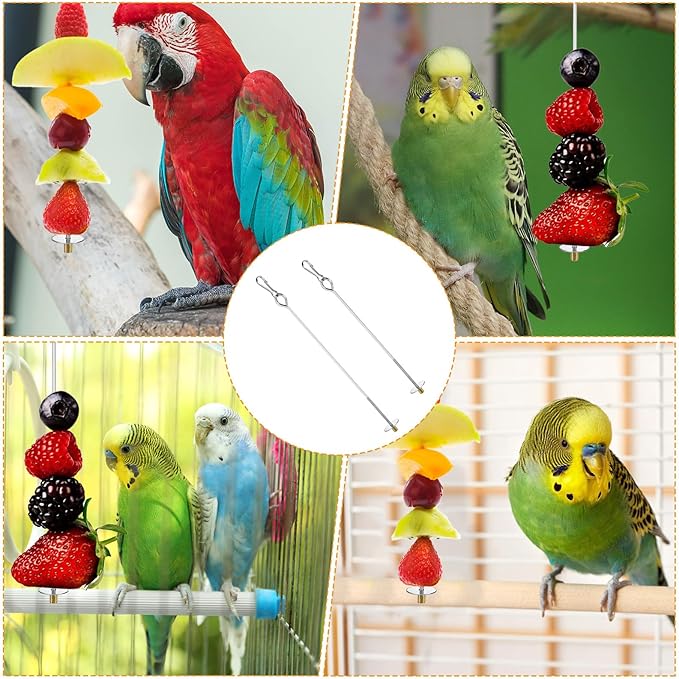 Nogeqi 4PCS Bird Cage Food Holder with Hook, Stainless Steel Bird Feeder for Cage, Parrot Fruit Skewers, Birds Foraging Toys for Macaw Parakeet Parrot Budgie (2 Sizes)
