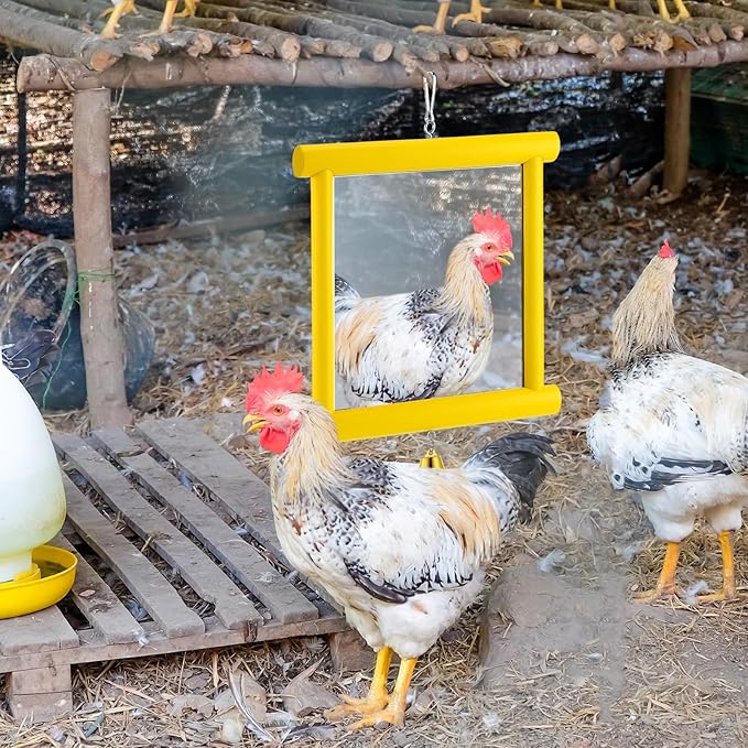 Sadnyy Extra Large Chicken Mirror Toys Hanging Swing Double Side Mirror with Bell Wooden Pecking Toy for Hens Birds Parrots Coop Roosters Enrichment Toy for Poultry(Square, Yellow, 1pcs)