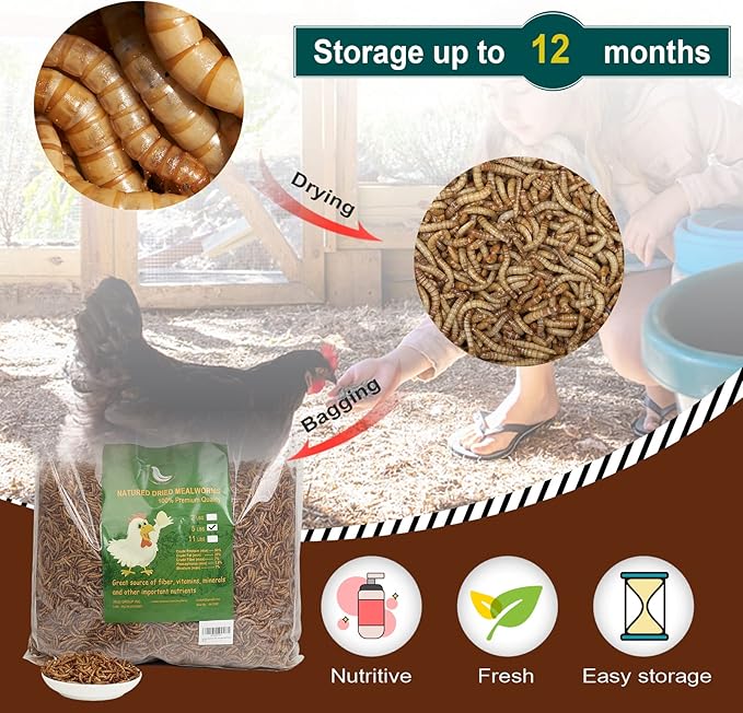 Non-GMO High-Protein Large Dried Mealworms for Chickens, Natural Grubs and Poultry Treats as Chicken Feed,Duck Food, Wild Birds Seed,Fish Food,Reptile Food,Amphibian Food(Mealworms-6LB)