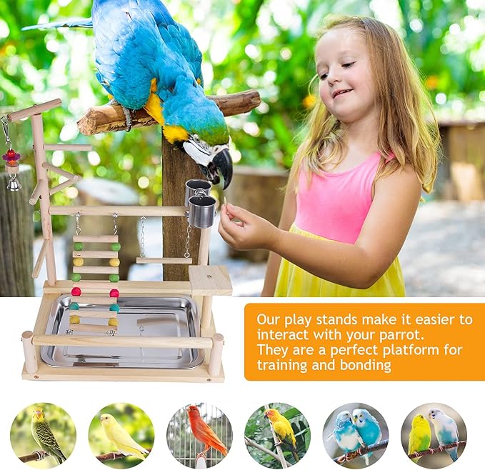 Wooden Bird Stand for Parrots, Parakeet, Cockatiel (14.57 * 10.24 * 17.32IN)