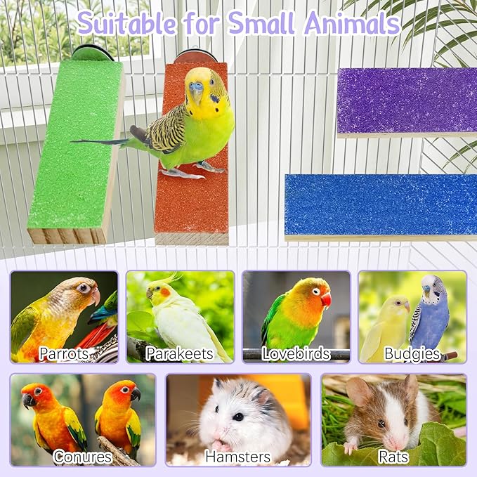 Hamiledy Colorful Bird Perches Wooden Paw Grinding Board Parakeets Stand Platform Bird Chewing Toys Cage Accessories for Budgies Cockatiels Conure Lovebirds Parrots Hamsters(8 Pcs)