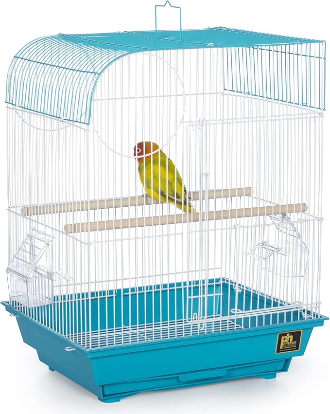 Prevue Pet Products South Beach Flat Top Bird Cage - Ideal for Finches, Canaries, Budgies, and Similarly Sized Birds, Minimal Assembly, Made of Powder-Coated Steel Wire Mesh - Teal